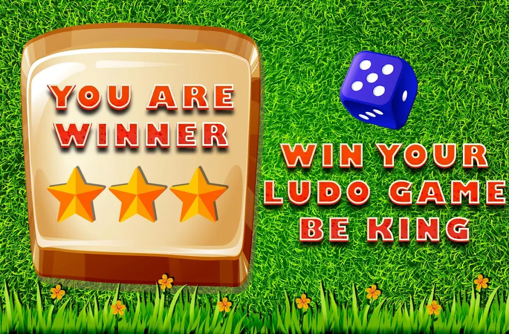 Schermata Ludo Game : Classic 3