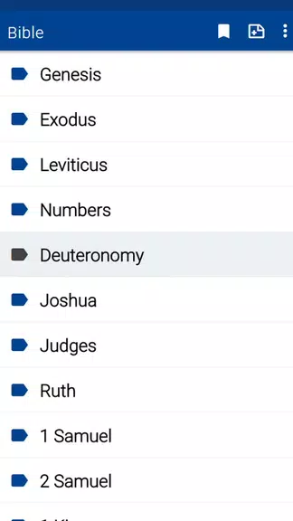 Spurgeon Bible Commentary 스크린샷 2