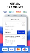 Мои налоги: личный кабинет ภาพหน้าจอ 4