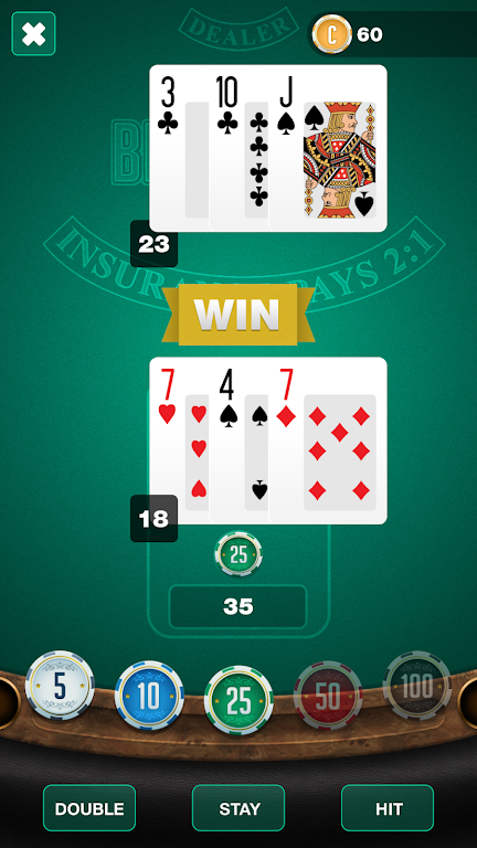 BlackJack TwentyOne Schermafbeelding 2