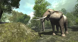 Schermata VR ZOO Safari Park Animal Game 4