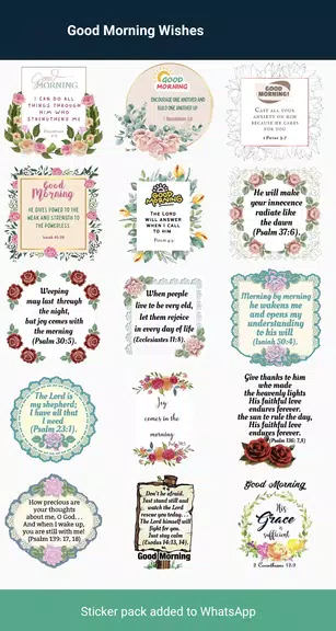 Christian Stickers Ảnh chụp màn hình 2