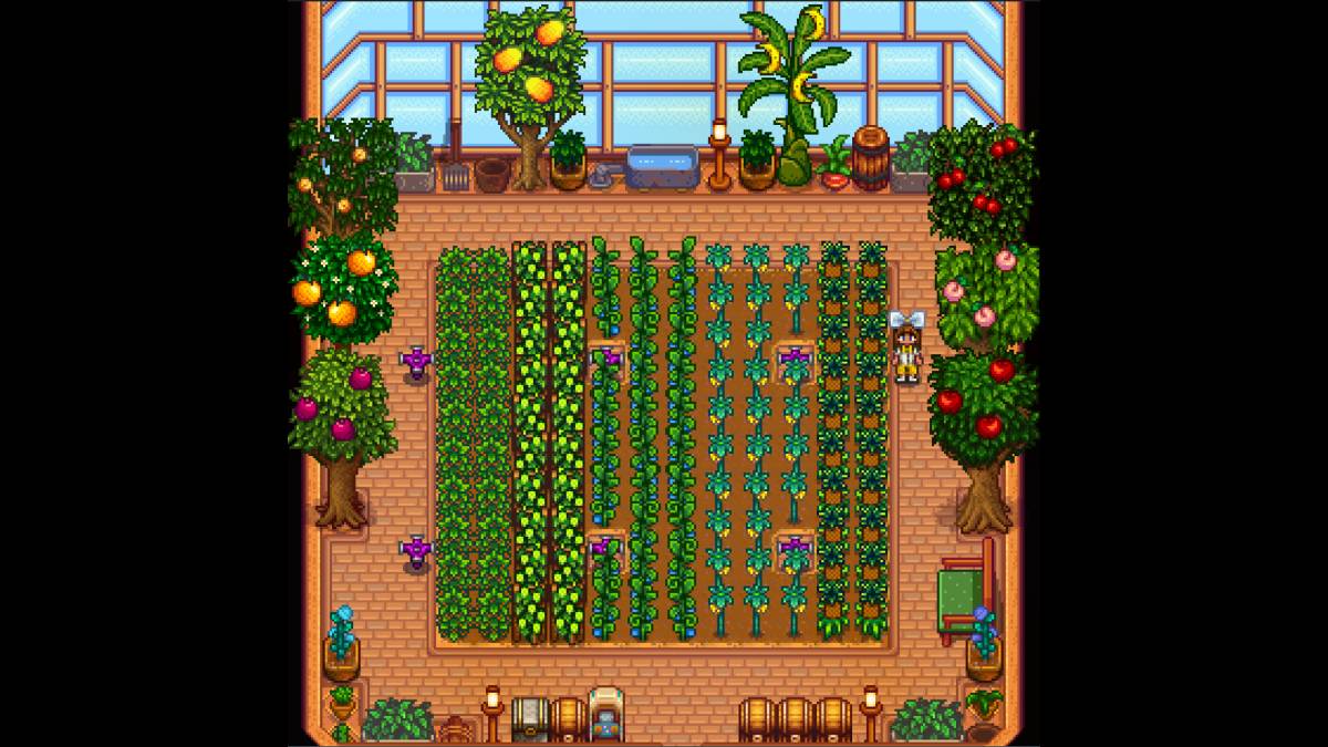 Greenhouse Capacity in Stardew Valley: How Many Plants?