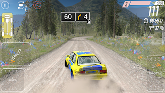 CarX Rally Zrzut ekranu 1