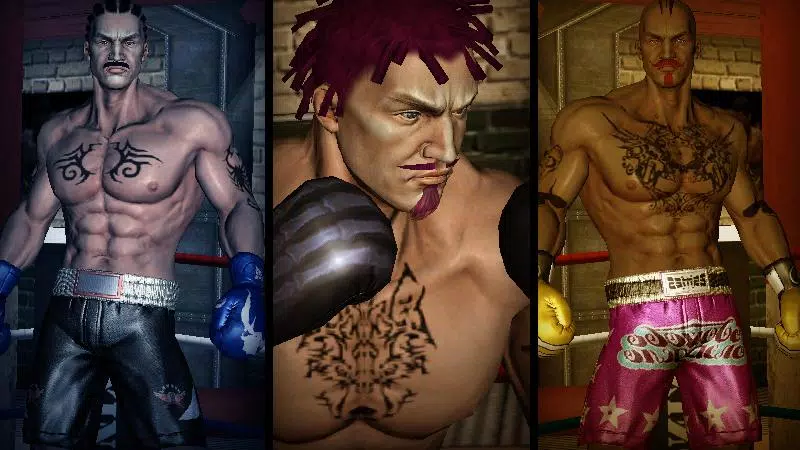 Punch Boxing 3D應用截圖第3張