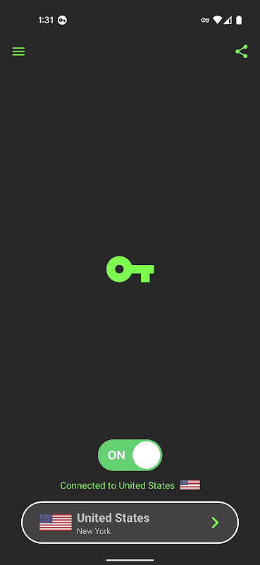 Schermata Free VPN Services .org 1