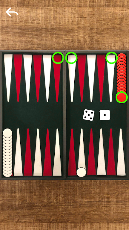 Narde Backgammon Capture d'écran 2