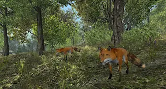 Schermata VR ZOO Safari Park Animal Game 3