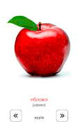 Learn and play Russian words Schermafbeelding 4