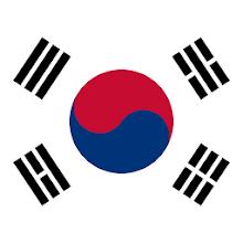Korea VPN - OpenVPN軟體插件 (跨區)