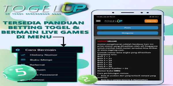 TogelUp应用截图第2张