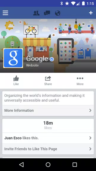 Tinfoil for Facebook スクリーンショット 1