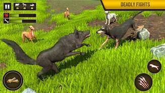 Wild Dog Pet Simulator Games ภาพหน้าจอ 4