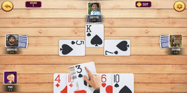 Callbreak Offline : Tash Game स्क्रीनशॉट 3