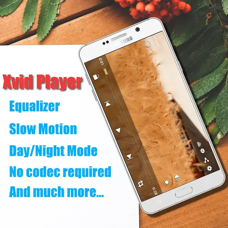 Xvid Video Codec Player Ảnh chụp màn hình 1