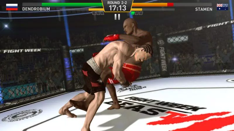 Fighting Star Ekran Görüntüsü 4