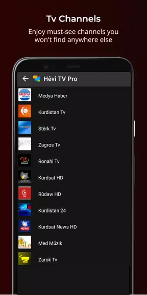 Hêvî TV Pro ภาพหน้าจอ 4