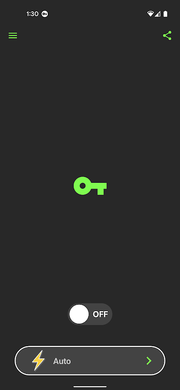 Schermata Free VPN Services .org 4