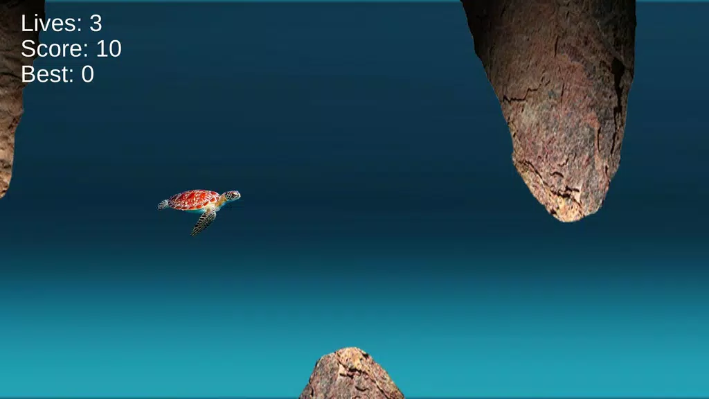 Turtle Run: Ocean Adventure应用截图第3张