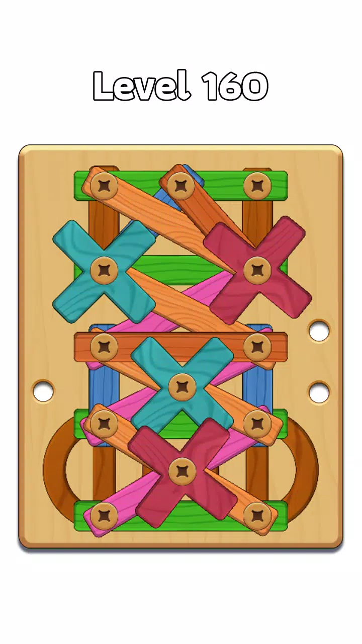 Wood Nuts & Bolt: Screw Puzzle应用截图第4张