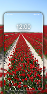 Rose Wallpaper Live HD スクリーンショット 4