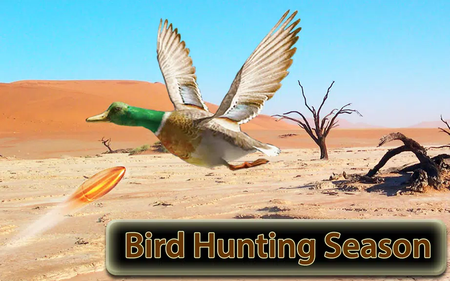 Desert Birds Sniper Shooter 3D应用截图第1张