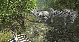 Schermata VR ZOO Safari Park Animal Game 1