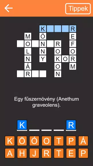 Keresztrejtvény應用截圖第1張