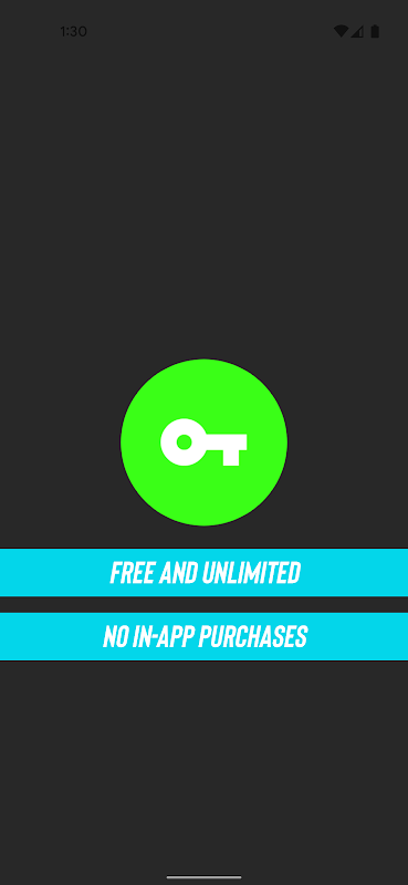 Schermata Free VPN Services .org 3