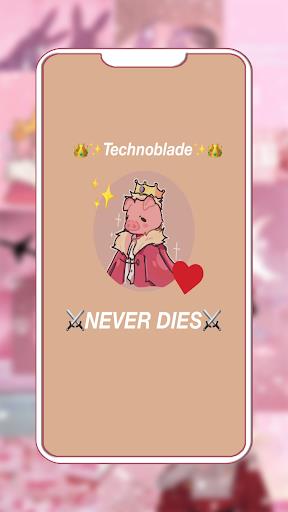 Technoblade Wallpaper Captura de pantalla 2