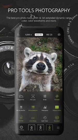 Halide Mark II ภาพหน้าจอ 2