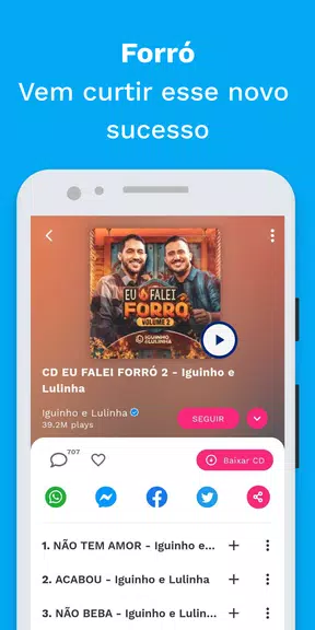 Sua Música: Hits do Nordeste 스크린샷 2