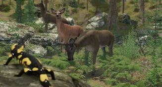 Schermata VR ZOO Safari Park Animal Game 2
