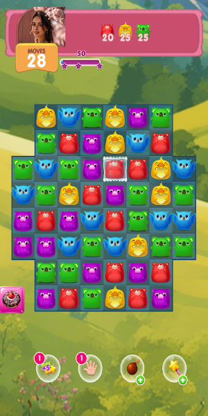 JoyMatch Tangkapan skrin 2