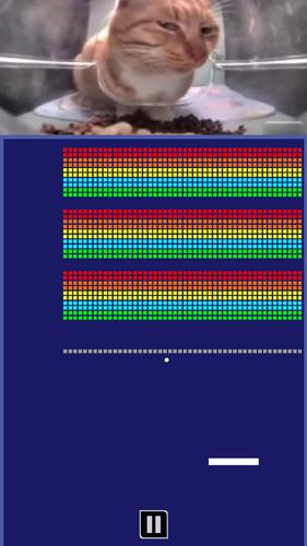 Chipi Chapa: Brick Breaker Screenshot 3