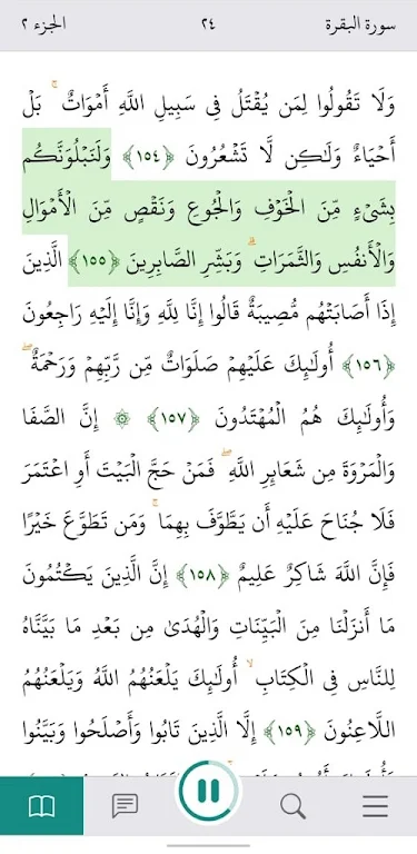 Tanzil.Net - Quran App Screenshot 2