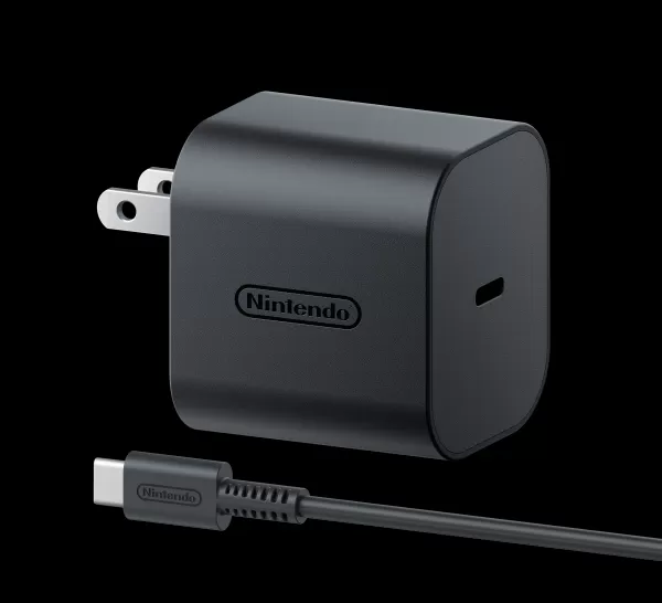 Switch 2 carrying case