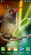 Hummingbirds Live Wallpaper Tangkapan skrin 1