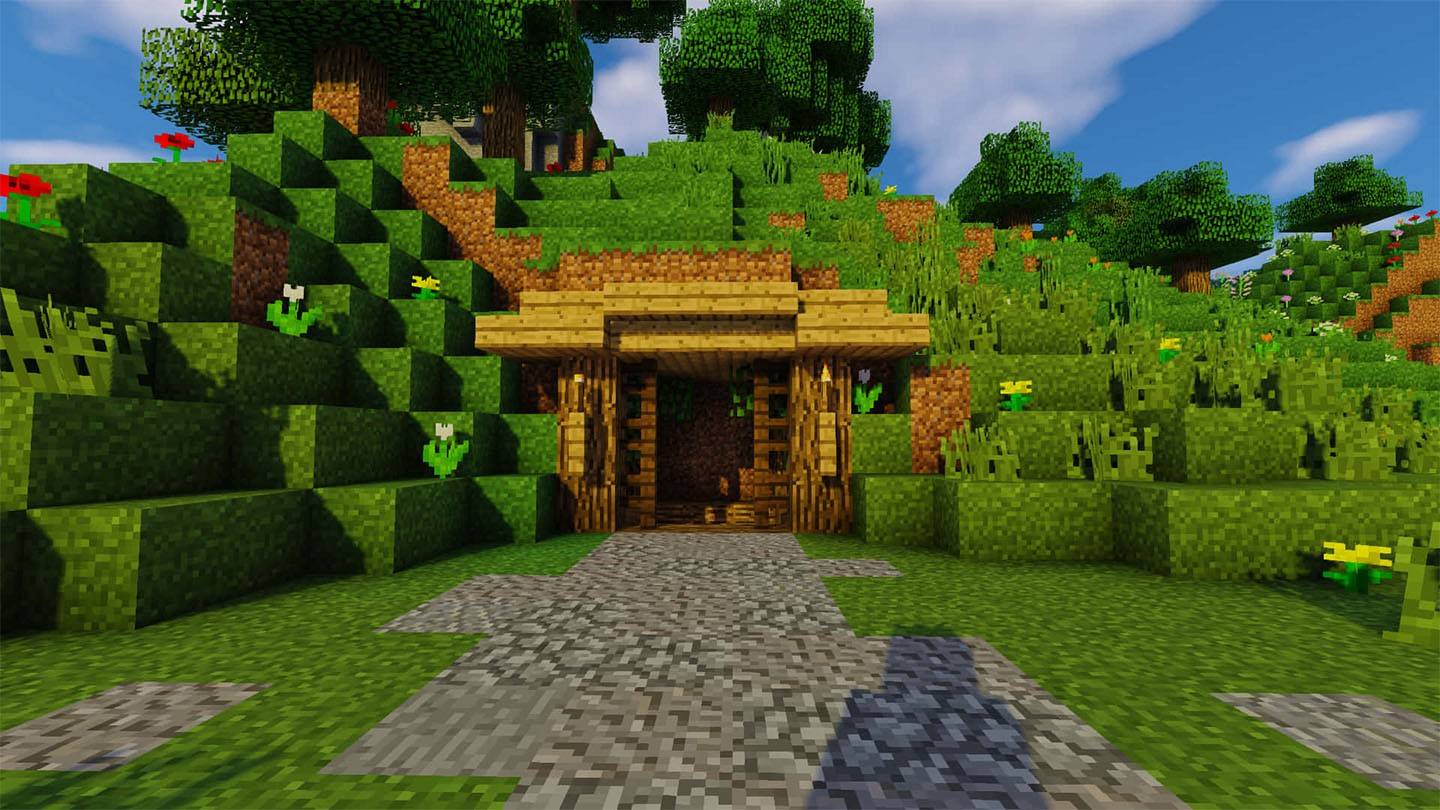 Minecraft門：類型，製作，自動化
