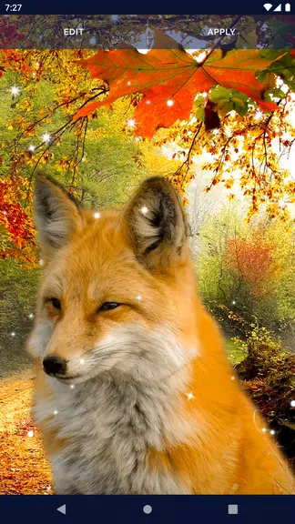Parallax Nature Live Wallpaper Screenshot 4