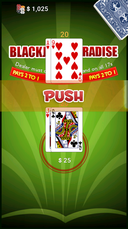 BlackJack Paradise ภาพหน้าจอ 3