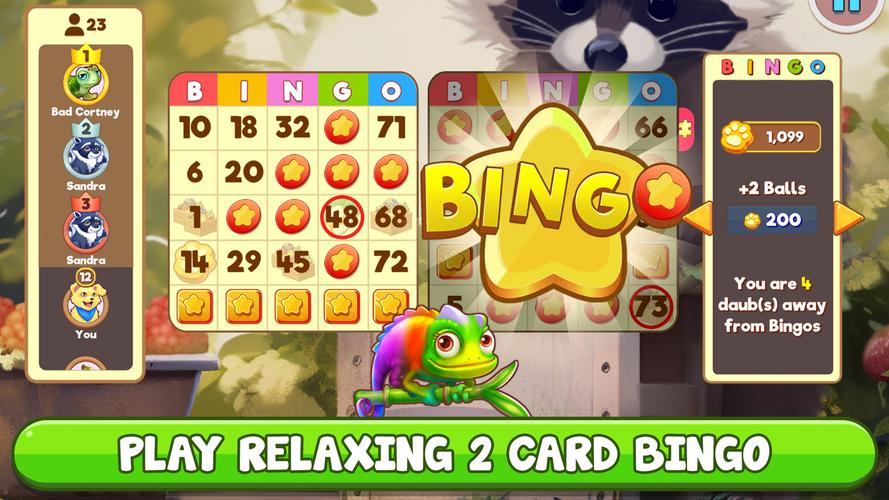 Bingo:  Free the Pets应用截图第2张