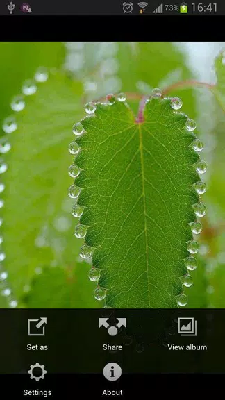 Photo Saver for Facebook Screenshot 1