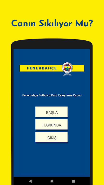 Fenerbahçe Futbolcu Kart Eşleştirme Oyunu Скриншот 1