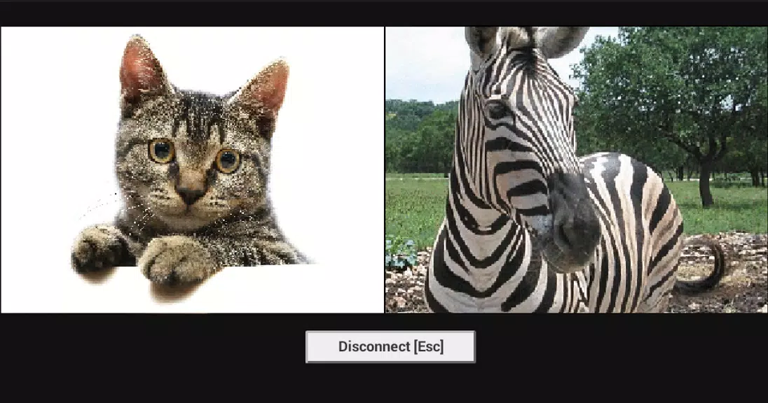 Video Chat Roulette Ekran Görüntüsü 1