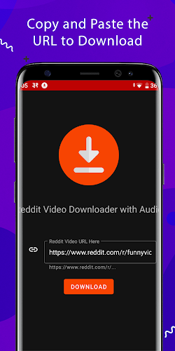 Schermata Video Downloader with Audio for Reddit 2