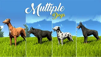 Wild Dog Pet Simulator Games ภาพหน้าจอ 1