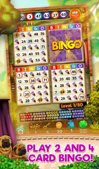 Bingo Pets Party: Dog Days应用截图第1张