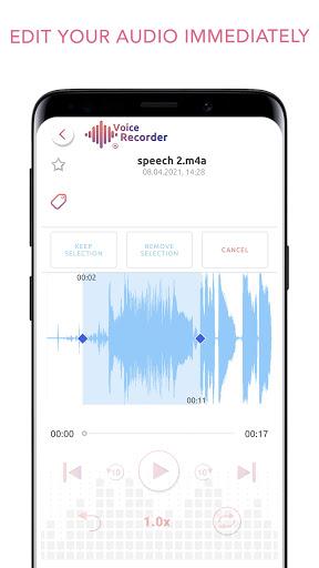 Voice Recorder and Editor App Screenshot 2