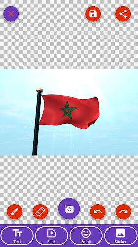 Morocco Flag Wallpaper: Flags应用截图第4张